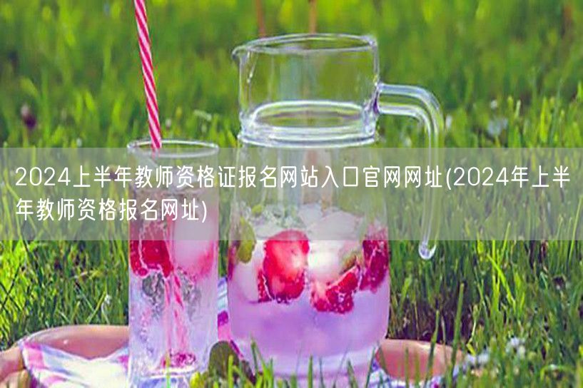 2024上半年教师资格证报名官网入口网址