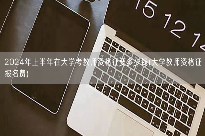 2024上半年大学教资考试报名费多少钱
