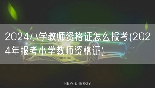 2024小学教师资格证报考指南(2024