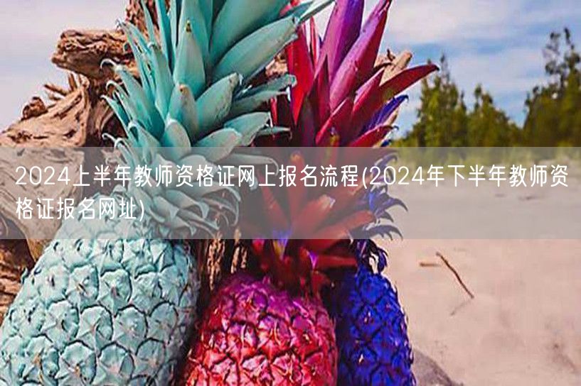 2024上半年教师资格证报名流程+下半年