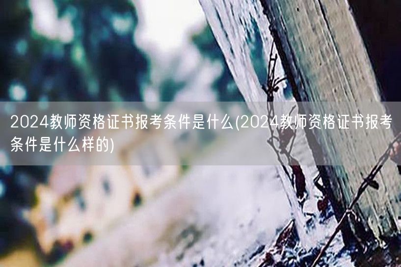 2024教师资格证书报考条件详解