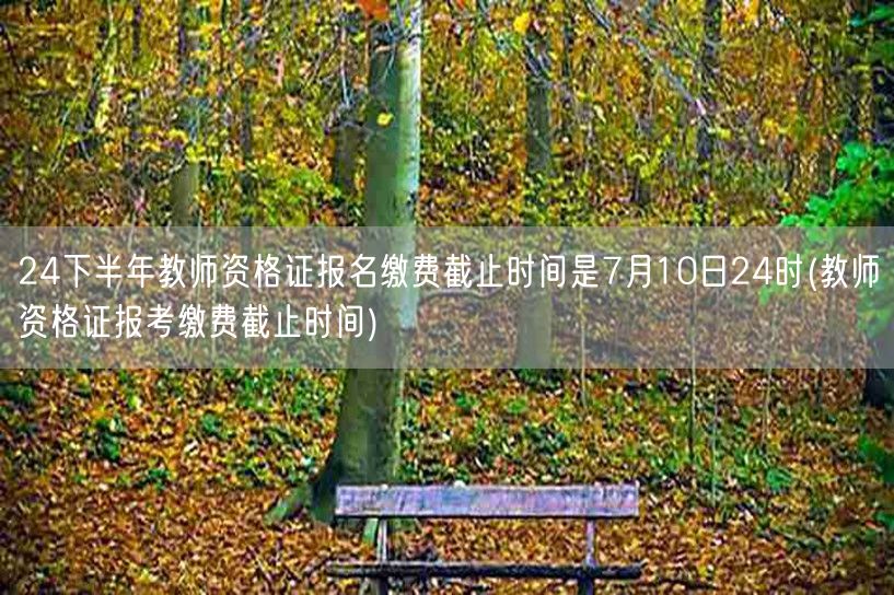 教师资格证缴费7月10日24时截止