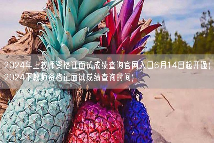 2024上半年教资面试查分官网6月14日