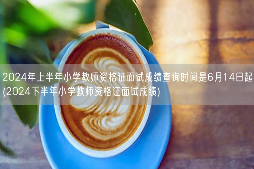 2024上半年小学教资面试查分6月14日