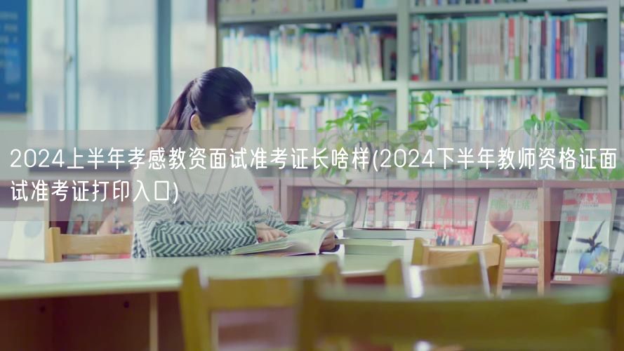 2024上半年孝感教资面试准考证样式及下