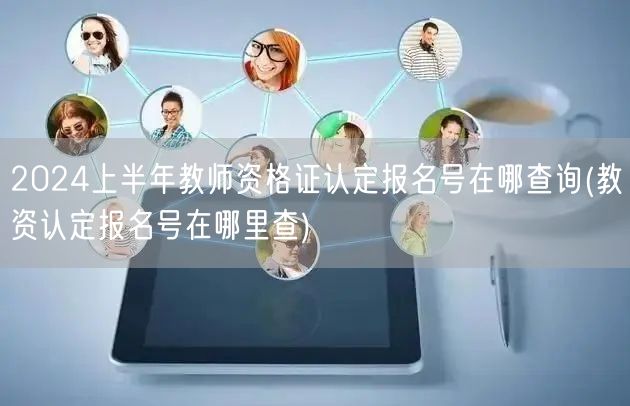 教资认定报名号查询2024上半年方法