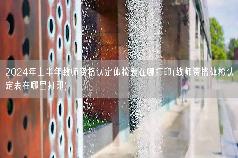教师资格认定体检表打印地点2024上半年