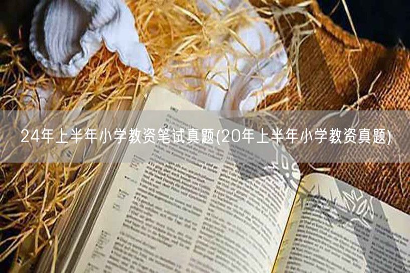 24年上半年小学教资笔试真题含20年真题