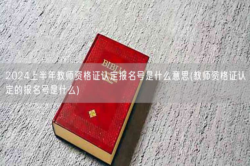 教师资格证认定报名号含义解析