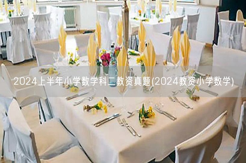 2024上半年小学数学科二教资真题及答案