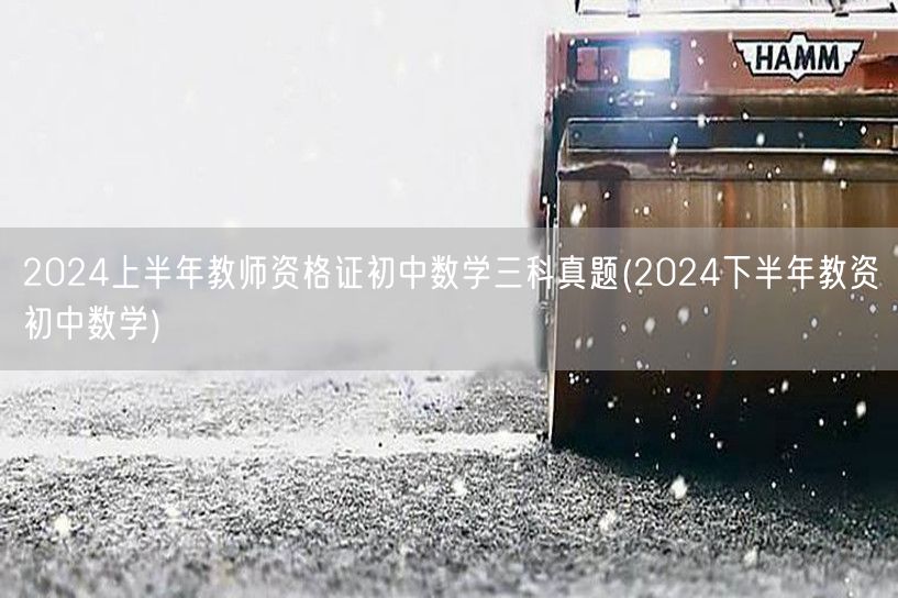 2024上半年初中数学教师资格证三科真题