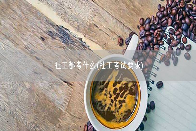 社工考试内容要求