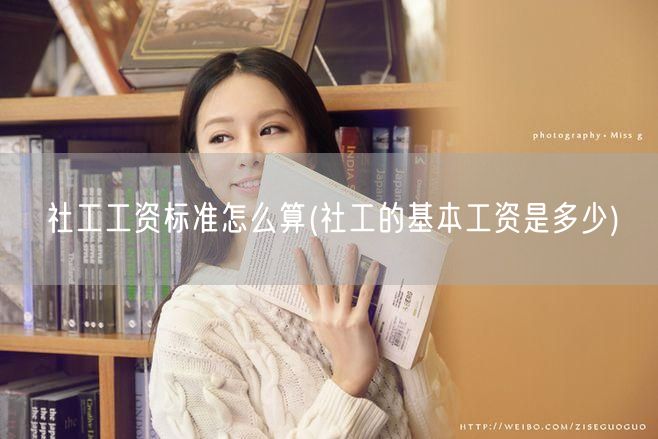 社工工资标准与基本工资详解