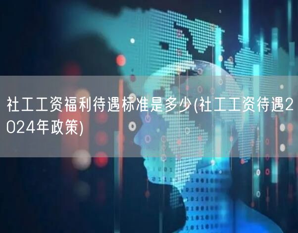 社工2024工资福利标准与待遇政策