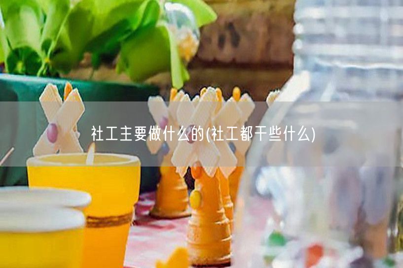 社工职责与服务内容概览