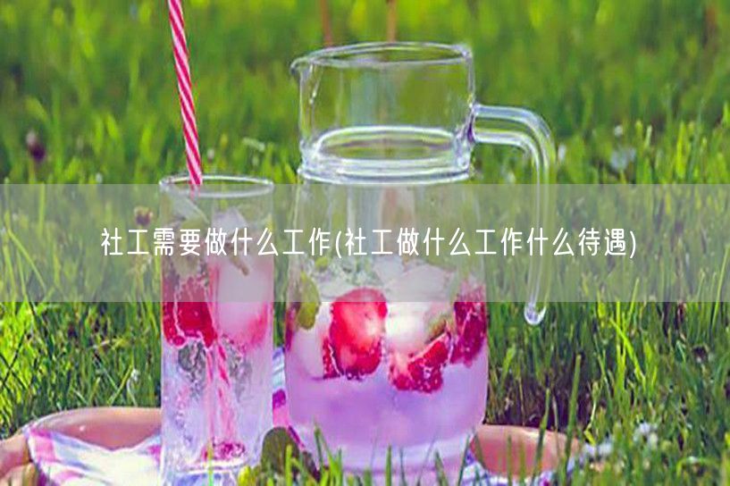 社工职责与薪资待遇概览