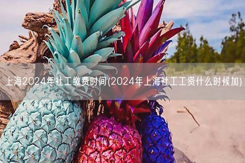 上海2024社工缴费时间及薪资调整预期