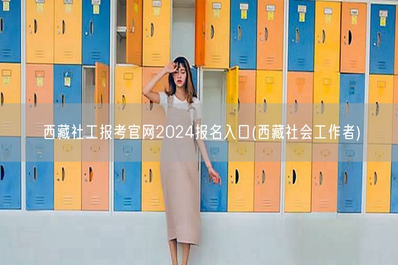 西藏社工2024官网报名入口（社会工作者