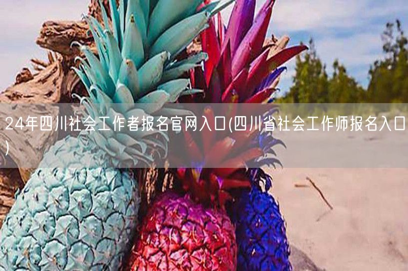 24年四川社工报名官网 官方入口