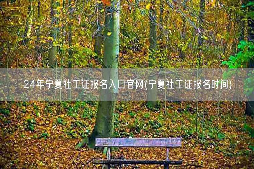 宁夏2024社工证报名官网入口及时间