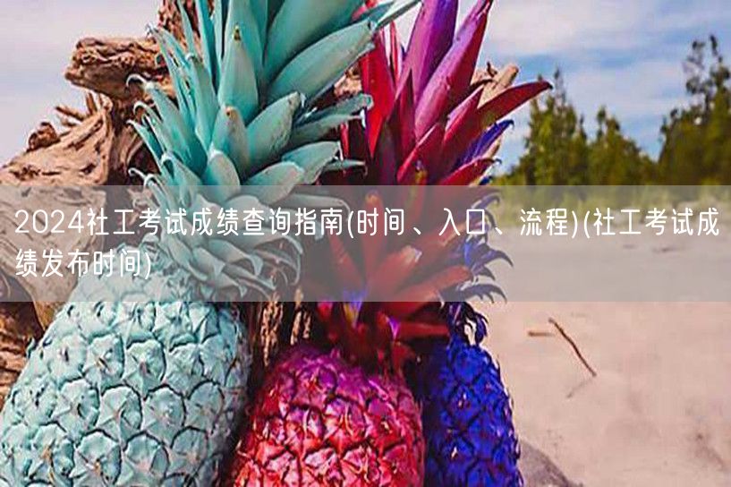 2024社工考试查分指南含发布时间入口流