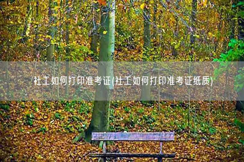 社工准考证打印方法及纸质版获取