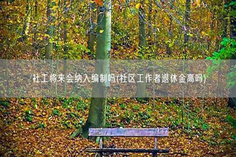 社工入编趋势及社区工作者退休金水平