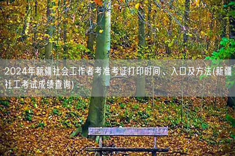 2024新疆社工考准考证打印与成绩查询
