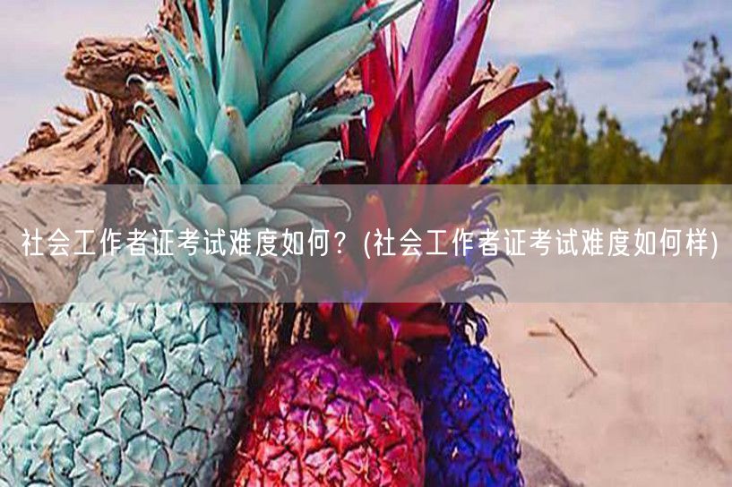 社会工作者证考试难度解析与备考建议