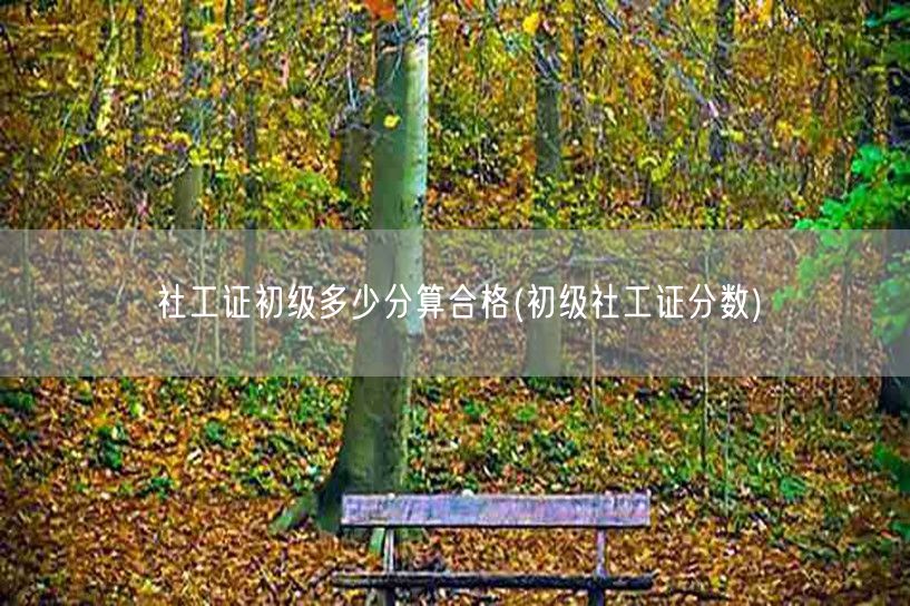 社工证初级合格分数线(初级社工证分数)