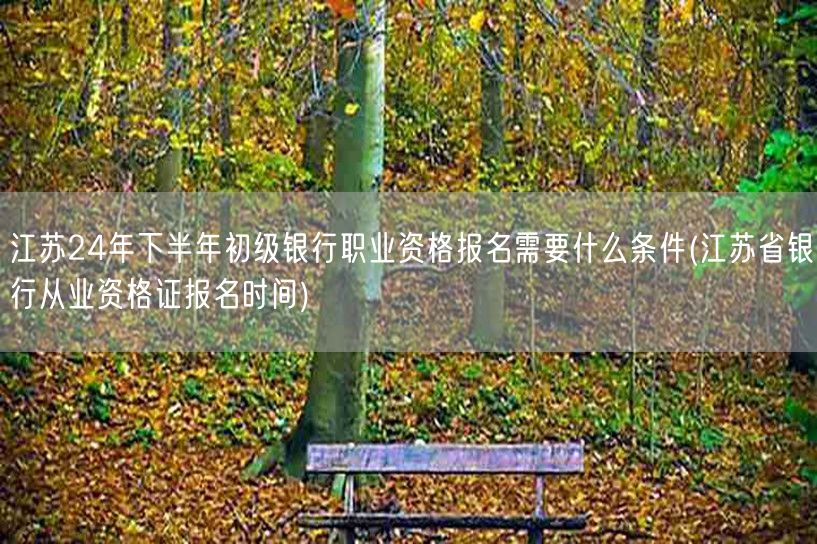 江苏24年下半年银行初级资格报名条件及报