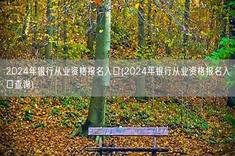 2024银行从业资格报名官网入口查询