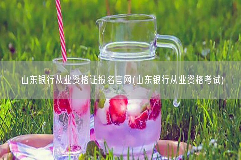 山东银行从业资格报名官网-考试入口