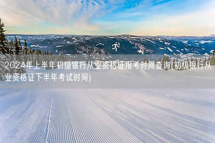 2024上半年初级银行从业报考及下半年考