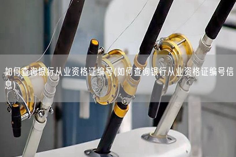 银行从业资格证编号查询方法