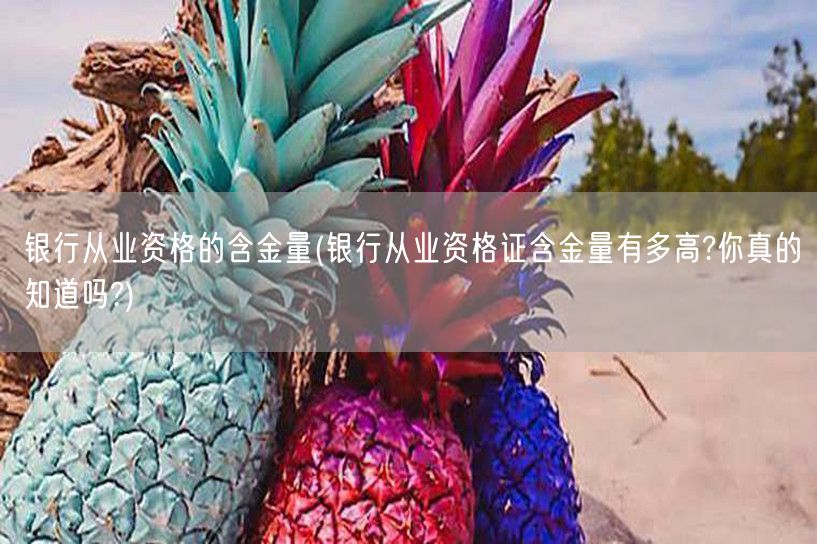 银行从业资格：含金量揭秘，你知道吗？