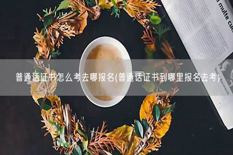 普通话证书报名考试方式