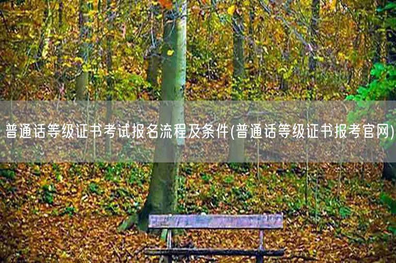 普通话等级证报名流程条件官网