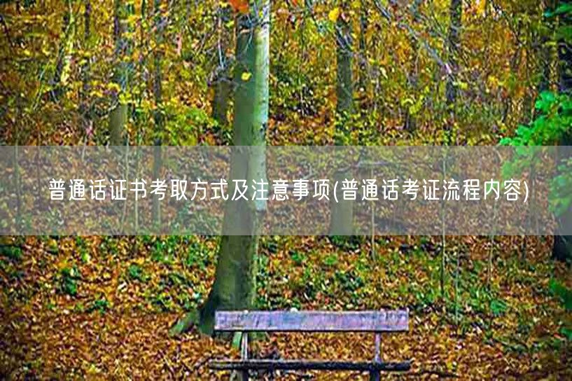 普通话证书考取流程及注意事项详解