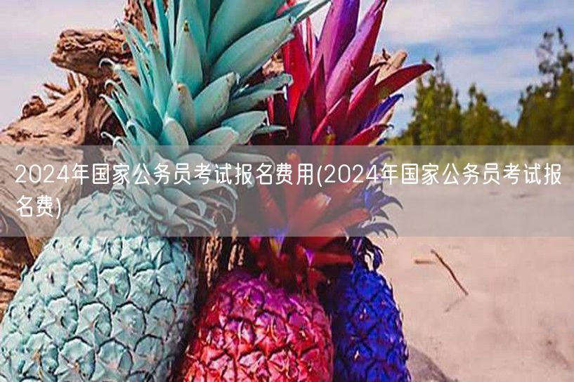 2024国考报名费标准及流程