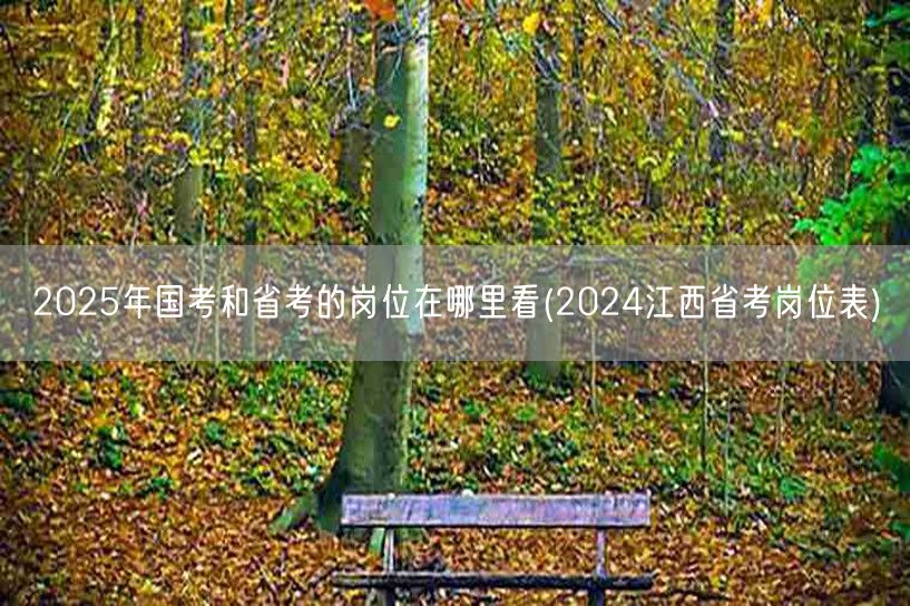 2025国考省考岗位查询及2024江西岗