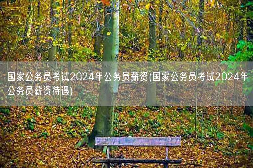 国家公务员2024薪资水平及待遇