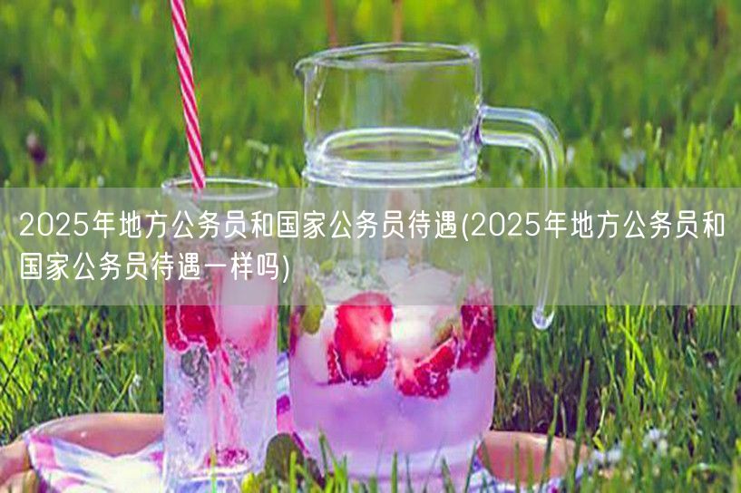 2025公务员待遇对比：地方VS国家
