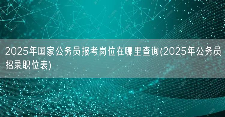 2025国考岗位查询及职位表下载